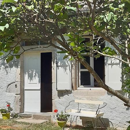 Bed and Breakfast Chez Mialaret Tourniac Exterior foto